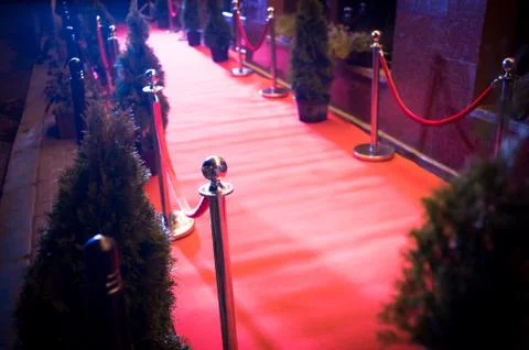 Long red carpet between rope barriers on entrance. Stock Photos