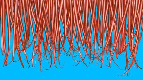 Long red hair, thick density.Solid blue background .3d render Illustrazione stock