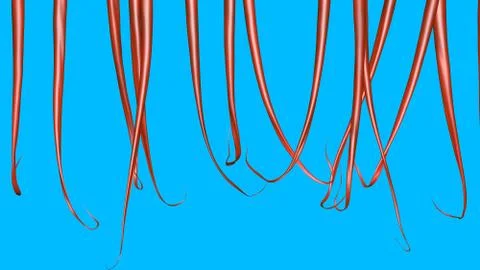 Long red hair, thin density.Solid blue background. 3d render イラスト素材
