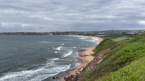 Long Reef Beach Stock Footage 166673888