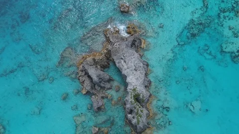 Long Reef Ridge and Dark Coral Under Bermuda Water Stock-Footage 91158590