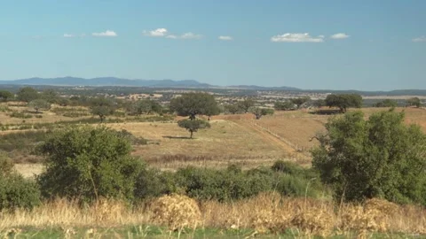 Long Remote Landscape With Dry Yellow Straw Ground, Trees and Mountains Video stock 216231326