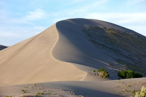 Long ridge in a sand dune. Stock Photos