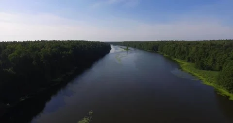 Long river surrounded by forest Stock Footage 265859874
