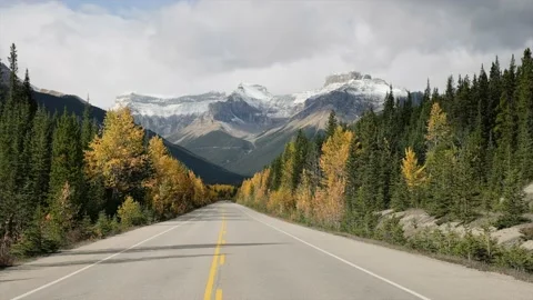 Long Road in Banff Vídeos de archivo 168773369