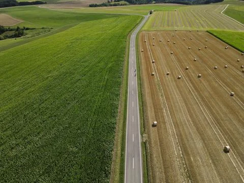 Long road between agriculture fields in the landscape Stock Photos