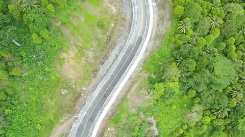 Long road bird view Stock Footage 241398577