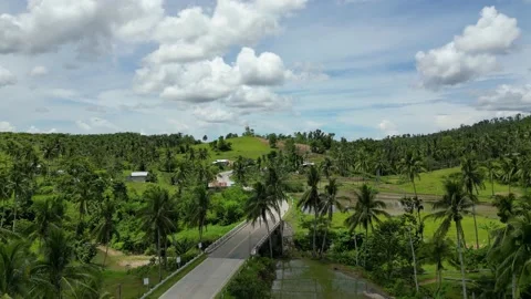 Long road divides land into two halves, one is strewn with areas of palm trees Stock Footage 233229917