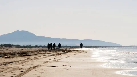 Long Road Down The Beach 1 Stock Footage 98394300