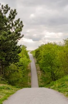 Long road in the forest Stock Photos