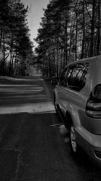 Long road in the forest Foto stock