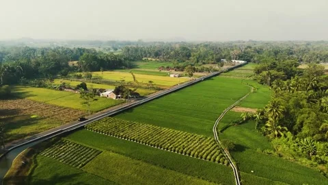 Long road irrigation tunnel path, green field forest, morning village cityside Stock Footage 253619361