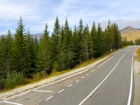A long road or pathway featuring many trees lining its sides Stock Photos