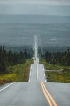 Long road through the forest Stock Photos