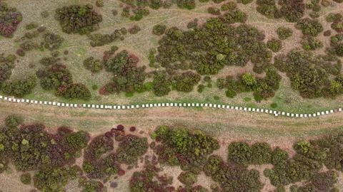 Long Row of Beehives Running Through Wild Highland Landscape Stock Footage 312769447