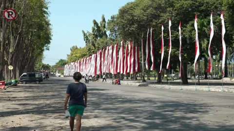 Long Row of Indonesian Flags Waving on Windy Day at local street Stock-Footage 333702476