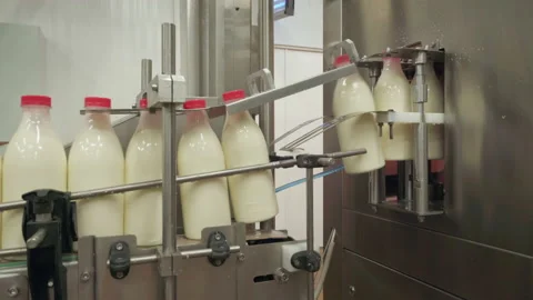 Long row of milk bottles moving on a production line at a dairy factory Stock Footage 154482503