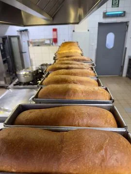 A long row of simple warm white bread loaves in baking tins Stock Photos