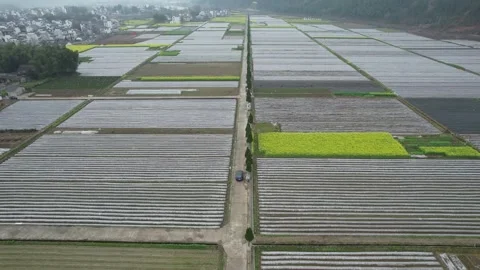 Long Rows Of Protected Farmland From Above in Anhui, China Stock Footage 344039437