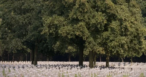Long rows of tombstones at German war cemetery Ysselsteyn, Netherlands Stock Footage 95090258