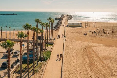 Long sandy pathway lined with palm trees leads to a pier stretching into th.. Stock Photos