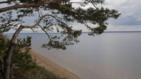 A long sandy shore is visible on a large river from a high cliff Stock Footage 128801506