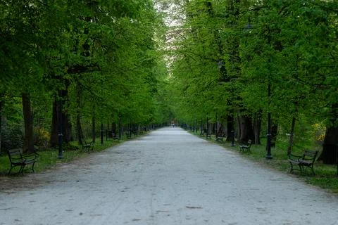 Long sandy walking path in a park lined with tall green trees and lanterns Stock-Fotos