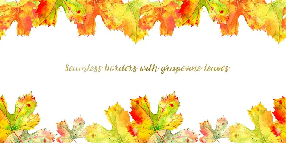 Long seamless border frame of fall grape vine leaves. Autumn foliage isolated on Stock Illustration