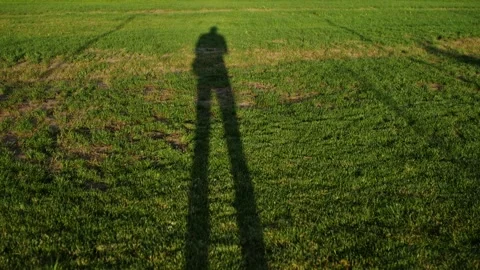 Long shadow of a man on the lawn during sunset. Stock Footage 164788370