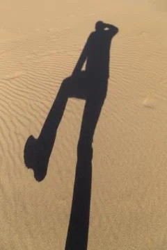 Long shadow of a man Foto stock