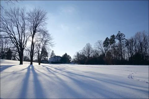 The long shadow of the maple tree in the snow covering the park Stock Photos