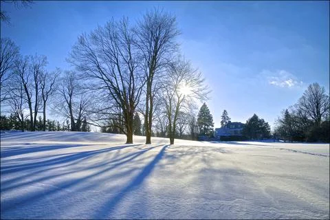 The long shadow of the maple tree in winter Stock Photos