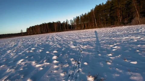 Long shadow on winter field with sound of steps in frosty snow in 4K Stock Footage 231684828