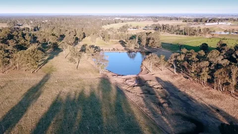 Long Shadows and gum trees by a dam in the bush, Australia. Stock Footage 114741284