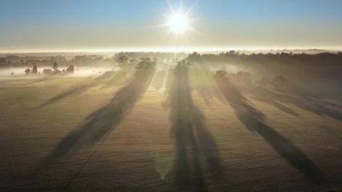 Long shadows and sunlight through fog over farmland at dawn Stock Footage 327945917