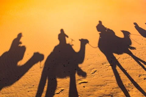 Long shadows of camel caravan, Erg Chebbi, Sahara desert, Merzouga, Morocco Stock Photos