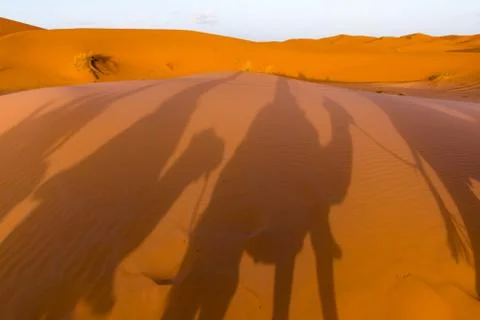 Long shadows of camel caravan, Erg Chebbi, Sahara desert, Merzouga, Morocco Foto stock