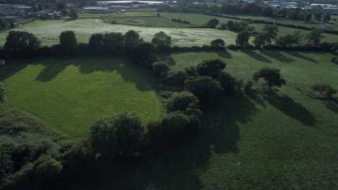 Long shadows cast from trees in green fields, Drone, Yorkshire Video stock 95326171