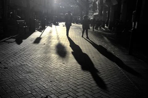 Long shadows at the end of the day. Stock Photos