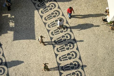 Long shadows of people on a square with pattern of paving stones Stock Photos