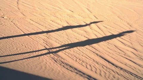 Long Shadows of People Walking on Textured Sand Dunes Stock Footage 321124960