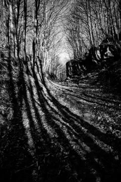 Long shadows Stock Photos