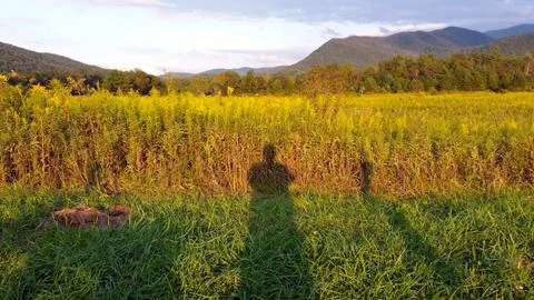 Long Shadows Stock Photos