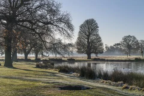Long shadows Fotos Stock