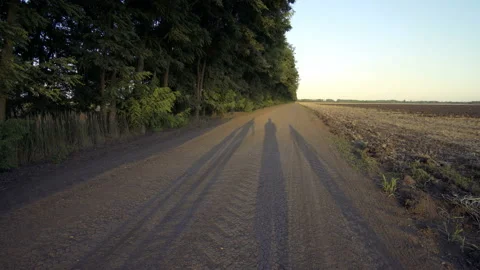 Long shadows on the road at sunset from a group of children jumping and fun a Video stock 111599775