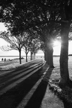 Long shadows from a trees on a promenade in ramsgate Stock Photos