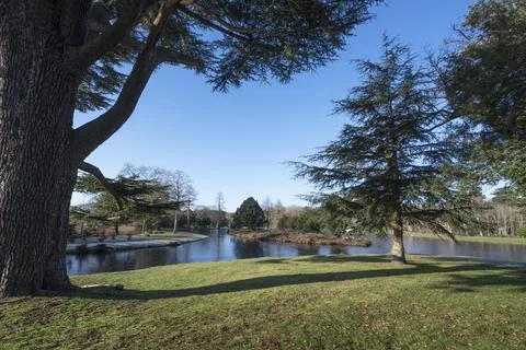 Long Shadows in winter Fotos Stock