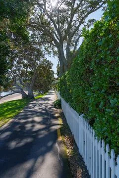 Long shady path vertically composed lined with white picket fence at Russell Stock Photos