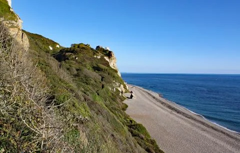 The long shingle beach at Branscombe in Devon, England. Stock Photos