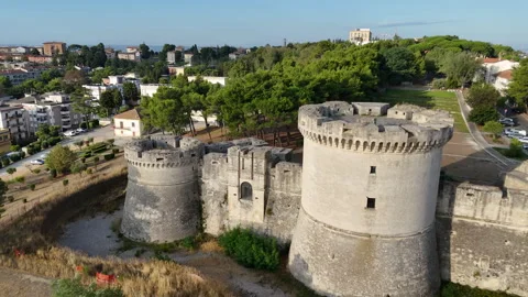 Long shot of the castle Stock Footage 316770802